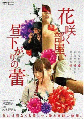 星尘漫游封面